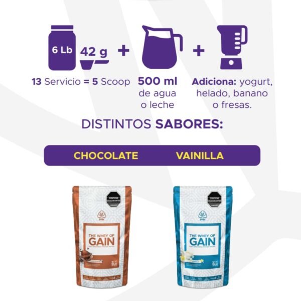 THE WHEY OF GAIN - Image 2